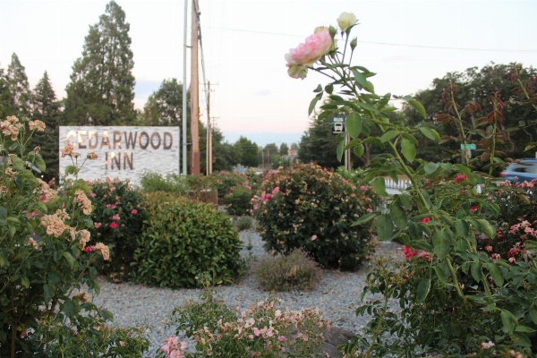 Cedarwood Inn of Ashland Main image